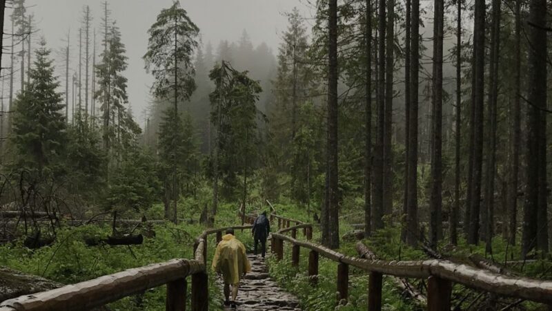 Krakow: Hiking Adventure in Tatra Mountains & Thermal Baths - The Thermal Pools: A Perfect Finish