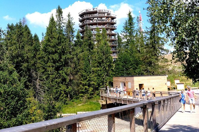 Krakow: Slovakia Treetop Walk & Zakopane Town Private Tour - The Experience in Detail