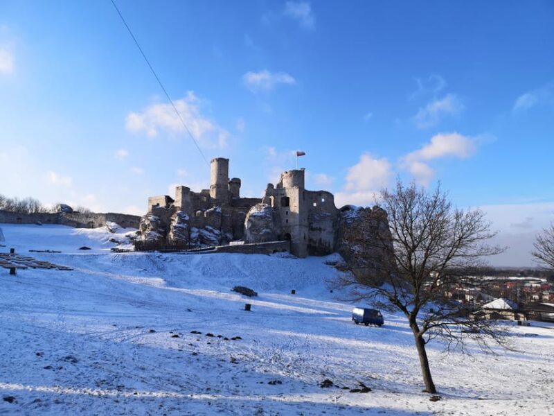 Krakow: "The Witcher" Ogrodzieniec Castle Private Tour - Analyzing the Price and Value