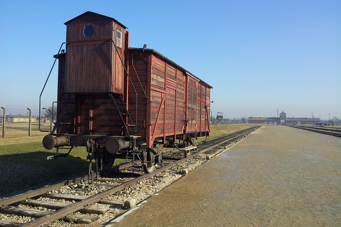 Krakow to Auschwitz Birkenau and Salt Mine 1 Day Tour - Auschwitz-Birkenau with an English guide: what you can expect