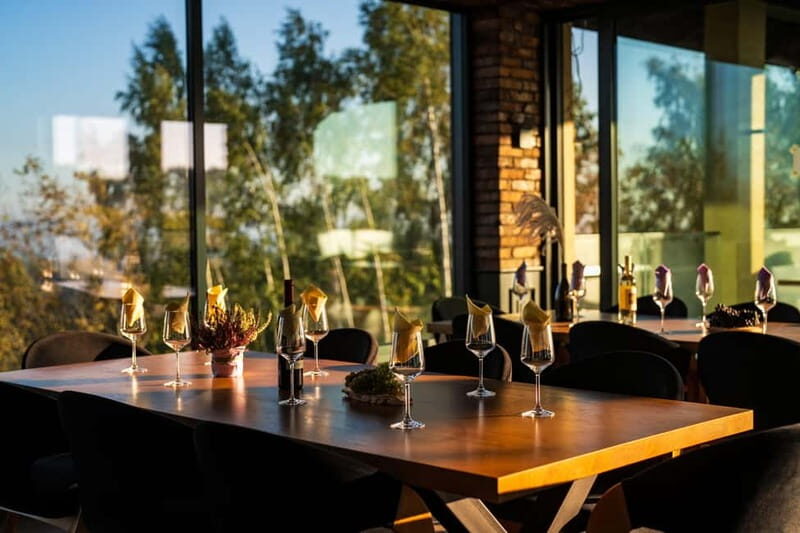 Krakow: Vineyard Tour with Wine Tasting & Dinner - Who Is This Tour Best For?