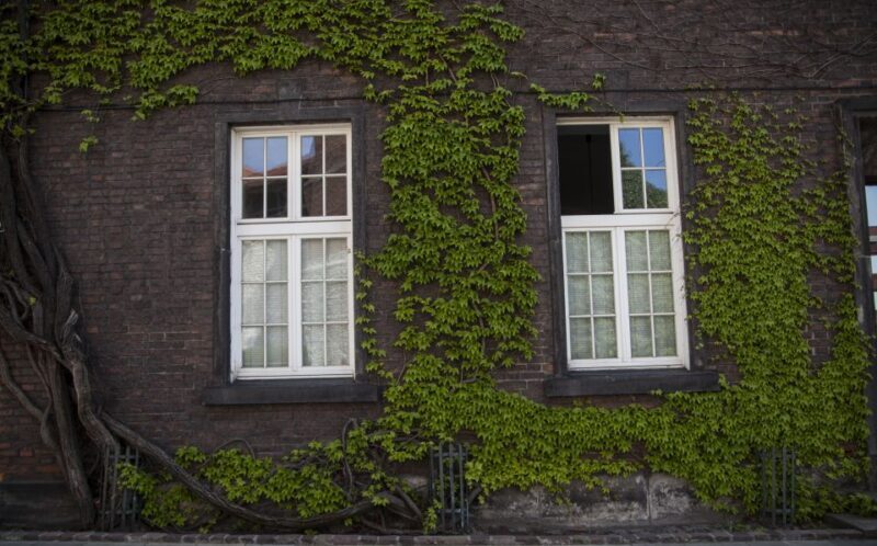 Krakow: Wawel Castle Guided Walking Tour - Final Thoughts