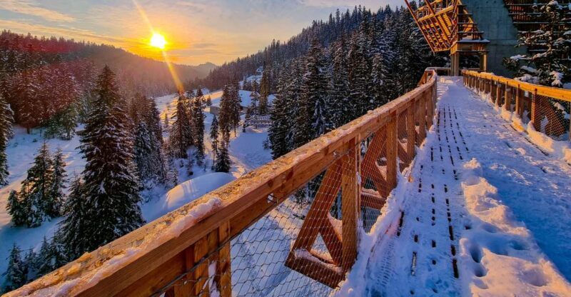 Krakow: Zakopane, Mountains Treetop Walk & Thermal Baths - Introducing the Experience