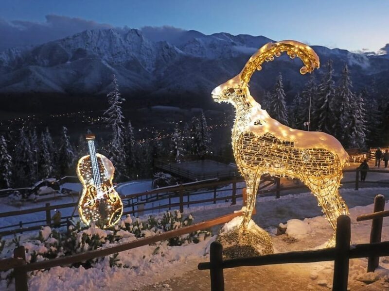 Krakow: Zakopane-Thermal Bath(Evening Time)with Hotel Pickup - Evening at Chochołowskie Thermal Baths