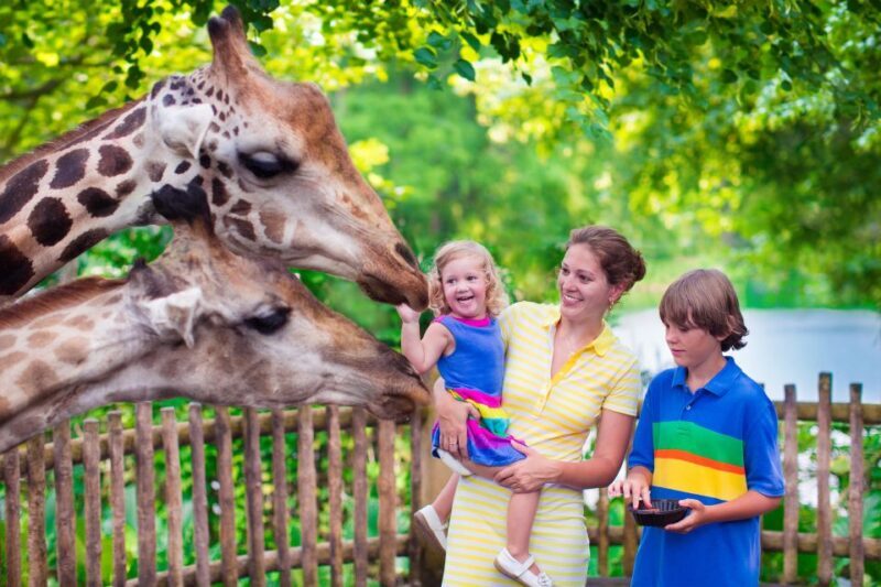 Krakow: Zoo Tour with Private Transport and Tickets - The Experience: What You Can Expect