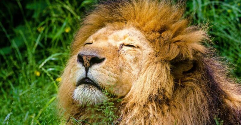 Krakow: Zoo Visit with Hotel Pickup & Drop-Off - First Impressions and Overall Experience