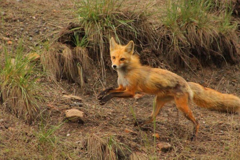 Kremmling: Colorado River Rafting With Hot Springs - Who Should Consider This Tour?