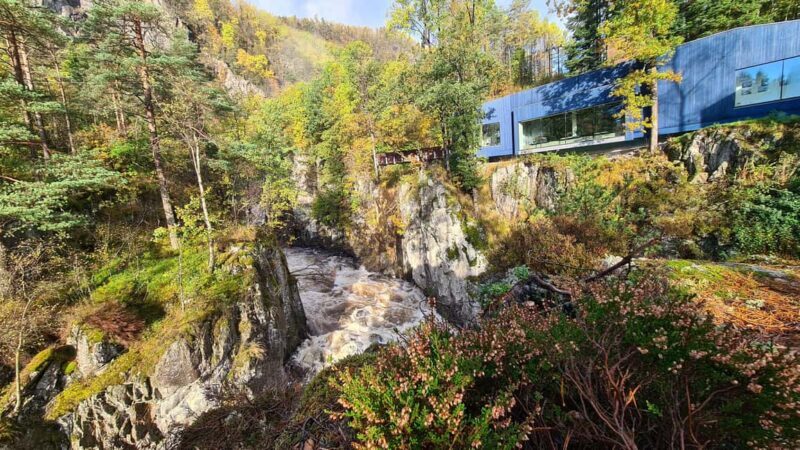 Kristiansand: Wild Salmon Center Guided Tour with Bus Ride - An Honest Look at the Tour: What to Expect