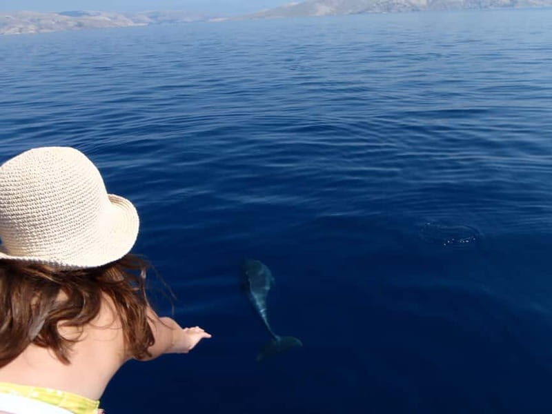 Krk: Boat Trip to Rab & Pag with Sightseeing & Swimming - Setting Out from Krk – What to Expect