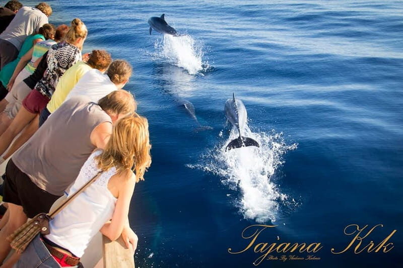 Krk: Boat Trip to Rab & Pag with Sightseeing & Swimming - Return to Krk