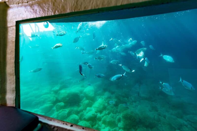 Krk: Yellow Semi-Submarine Tour - Who Is This Tour Best For?