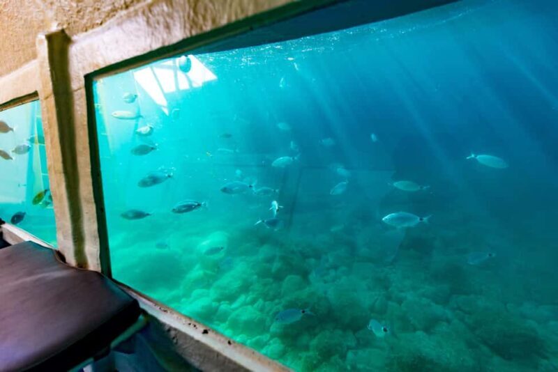 Krk: Yellow Semi-Submarine Tour - FAQ