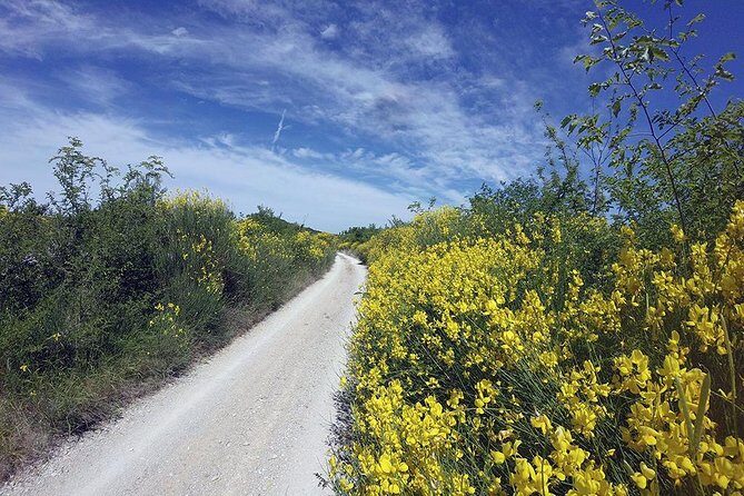 Krka Nationa park by electric bike - FAQ