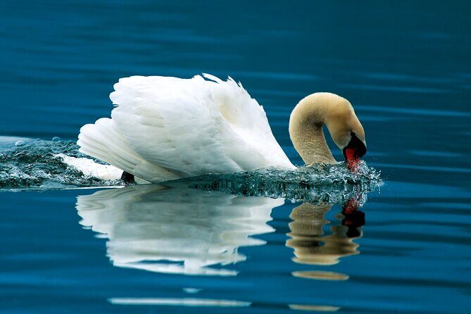 Krka National Park and Skradin - The Sum Up