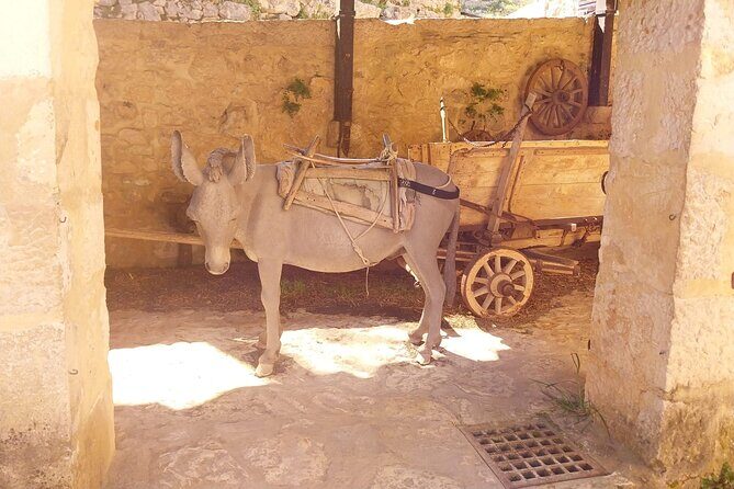 Krka Waterfalls & Skradin AFTERNOON Tour - TICKET INCLUDED - FAQ