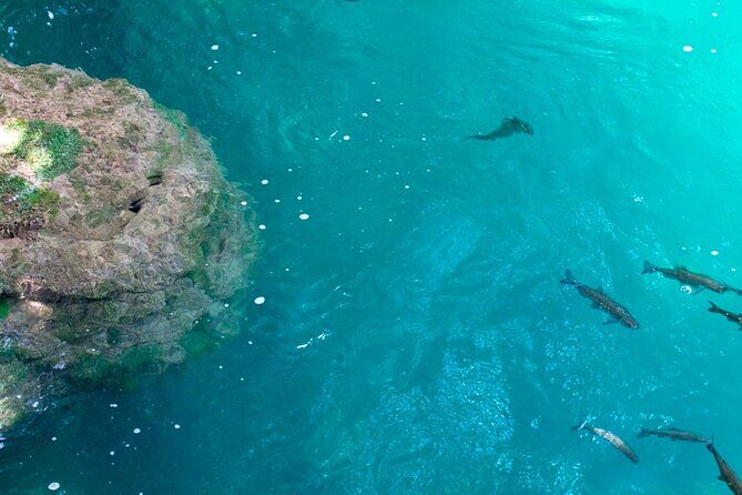 Krka Waterfalls Tour from Split with Boat Ride & Swimming - FAQ