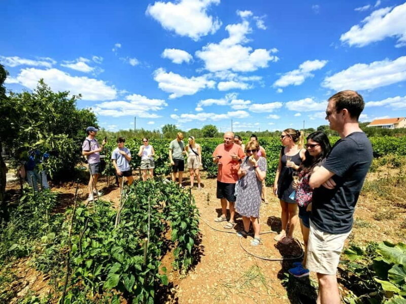 Krka waterfalls tour with lunch from Split - FAQ