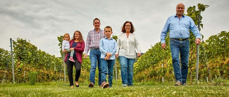 Kröv/Gut Hermes: Make your own sparkling wine sparkling wine tasting experience - Tasting and Food