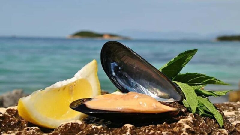Ksamil Sailing & Mussel Tasting Experience - Final Thoughts: Is It Worth It?