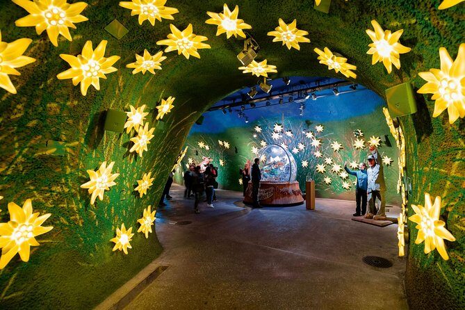 (KTL364) - Small group tour Jungfrau and Interlaken from Lausanne - An In-Depth Look at the Tour Experience