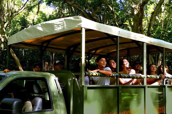 Kualoa Ranch: Jungle Expedition Tour - The Value for Your Money
