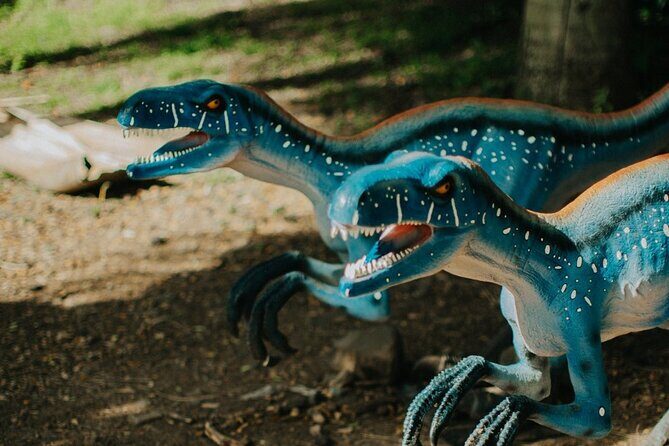 Kualoa Ranch: Jungle Expedition Tour - Some Caveats