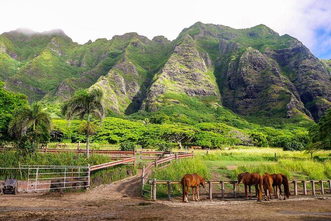 Kualoa Ranch: Novice E-Bike - Key Points