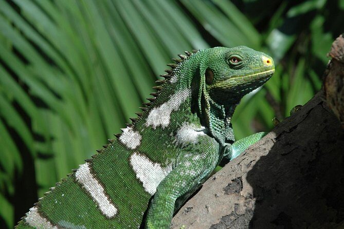 Kula Eco Park Admission - What to Expect at Kula Eco Park