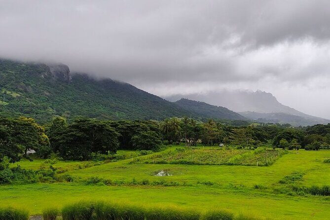 Kula Eco Park Admission - Who Should Consider Visiting?