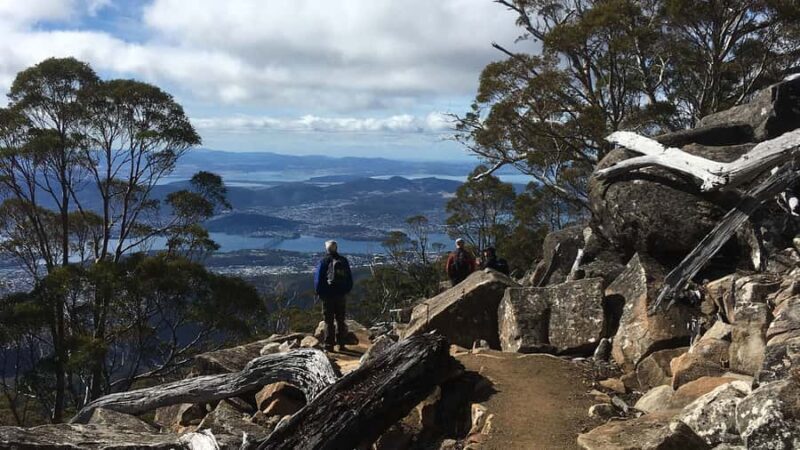 Kunanyi & Mt Wellington Explorer Bus: One-Way Bus Pass - Key Points