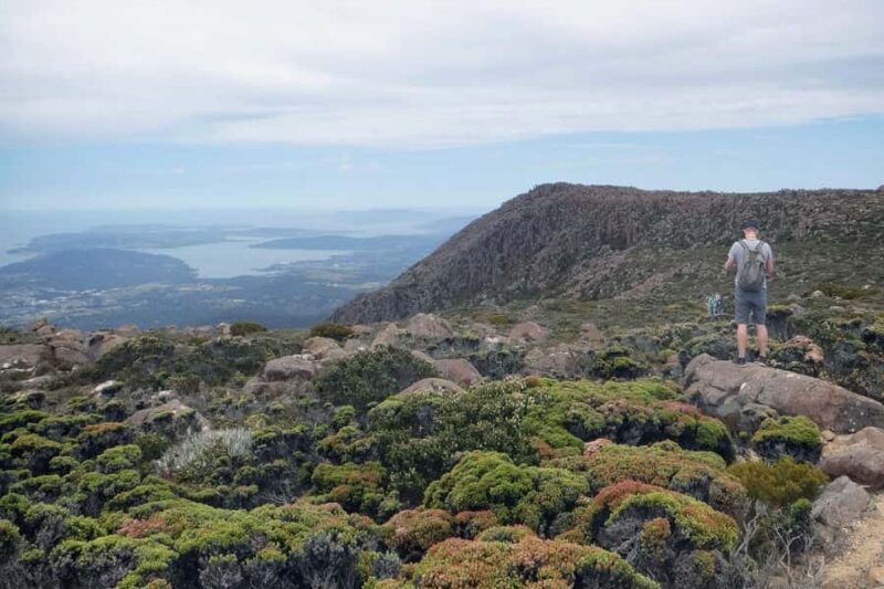 Kunanyi & Mt Wellington Explorer Bus: One-Way Bus Pass - What Travelers Are Saying