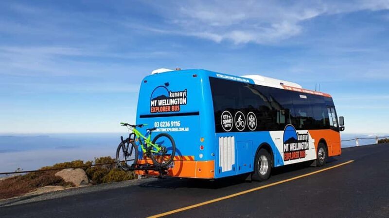 Kunanyi & Mt Wellington Explorer Bus: One-Way Bus Pass - Who Is This Tour Best For?