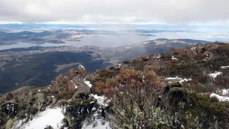 Kunanyi & Mt Wellington Explorer Bus: One-Way Bus Pass - Final Verdict