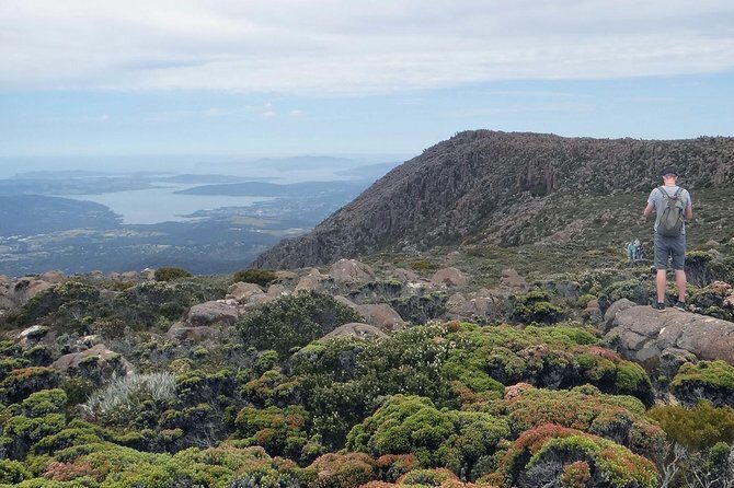 kunanyi/Mt Wellington Explorer Bus - One Way Tour - Who Should Consider This Tour?