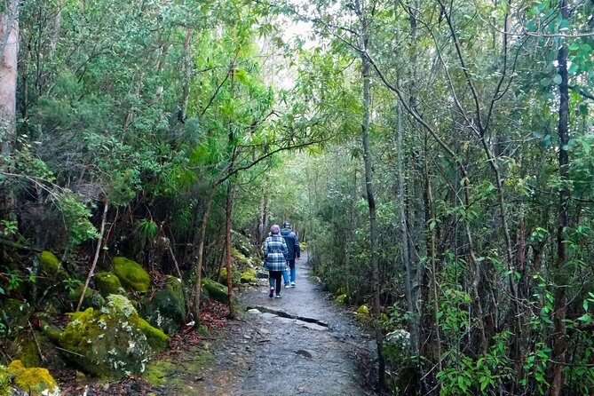 kunanyi/Mt Wellington Tour & Hobart Hop-On Hop-Off Bus - Who Should Consider This Tour?