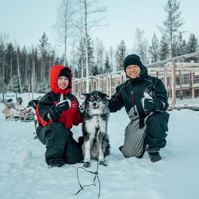 Kuoksa Husky & Reindeer Adventure - A Detailed Look at the Kuoksa Husky & Reindeer Adventure