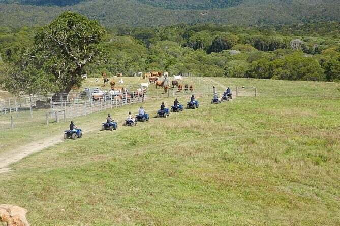 Kuranda 60 minute Quad Bike Experience and Petting Farm - FAQs