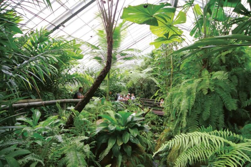 Kuranda: Australian Butterfly Sanctuary - The Laboratory Tour and Conservation Focus