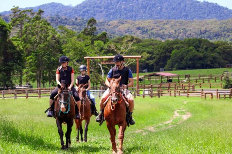 Kuranda Half Day with Petting Zoo & Horse Trail Ride Tour - Pricing and Overall Value