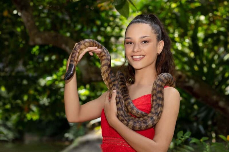 Kuranda Koala Gardens Park Entry - How Long Should You Spend Here?