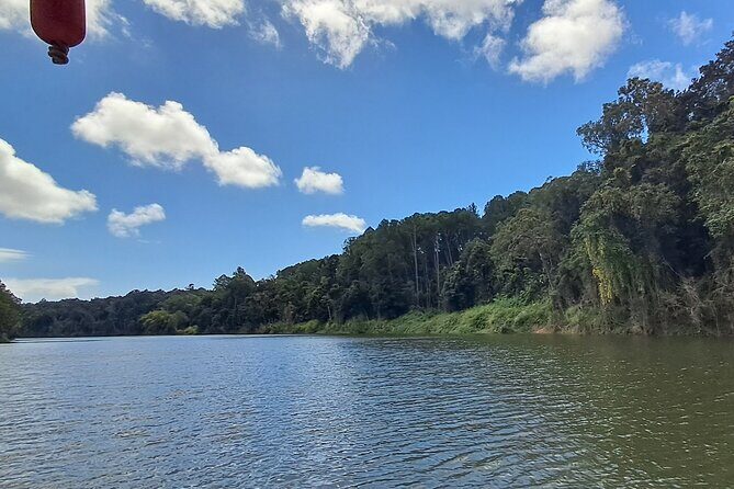 Kuranda Scenic Railway and Rainforest Station (Small Group) - FAQ