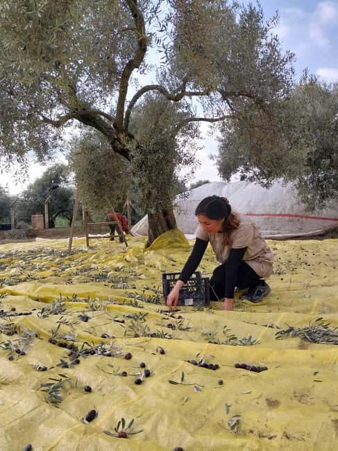 Kusadas: Countryside Tour with Lunch and Drinks - Key Points