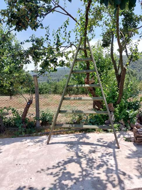 Kusadas: Countryside Tour with Lunch and Drinks - Village Walks and Stories of Foundations