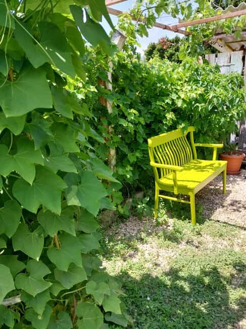 Kusadas: Countryside Tour with Lunch and Drinks - Sampling Homemade Wines and Fruits at Kirazl Village