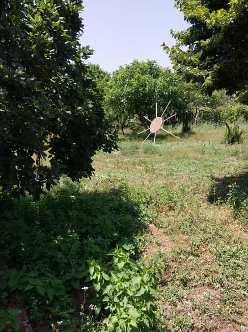 Kusadas: Countryside Tour with Lunch and Drinks - Things to Keep in Mind