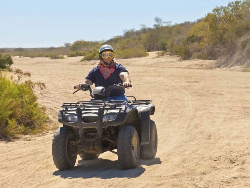 Kusadasi: Guided Quad Biking Tour - The Pros and Cons