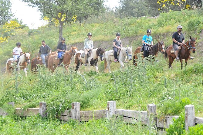 Kusadasi Horse Riding Beach and Forest options with Transfer - What to Expect on the Horseback Riding Tour in Kusadasi