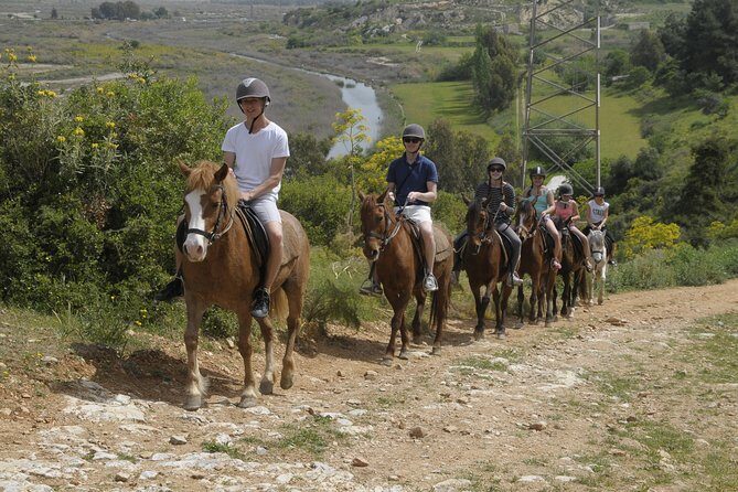 Kusadasi Horse Riding Beach and Forest options with Transfer - The Realities: The Downsides and Considerations