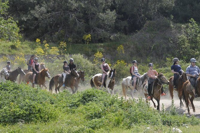 Kusadasi Horse Riding Beach and Forest options with Transfer - Who Would Love This Tour?