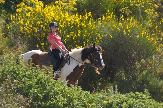 Kusadasi Horse Riding Beach and Forest options with Transfer - FAQ: Practical Questions Answered